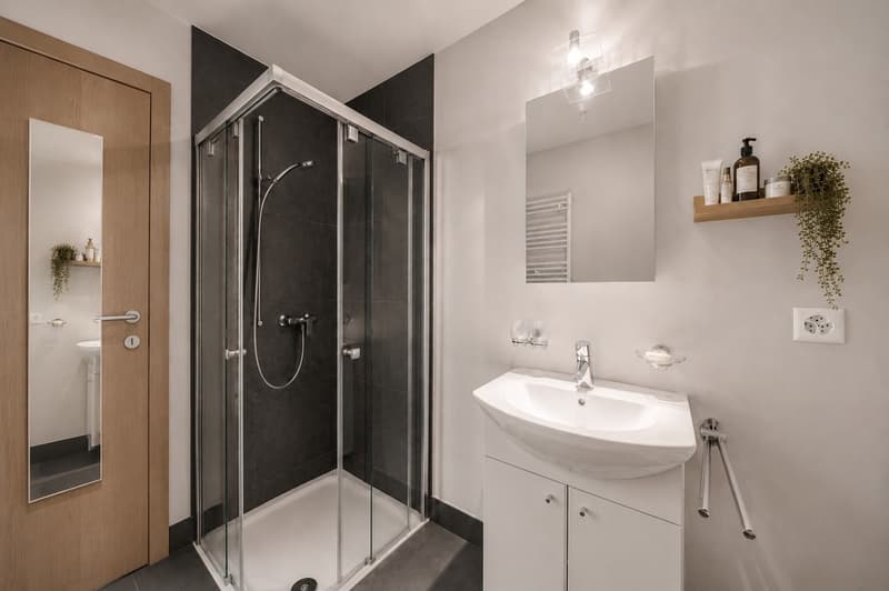 Appartamento moderno a duplex nel centro di Villeneuve (4)