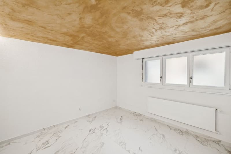 Grande maison individuelle avec grand entresol aménagé (11)
