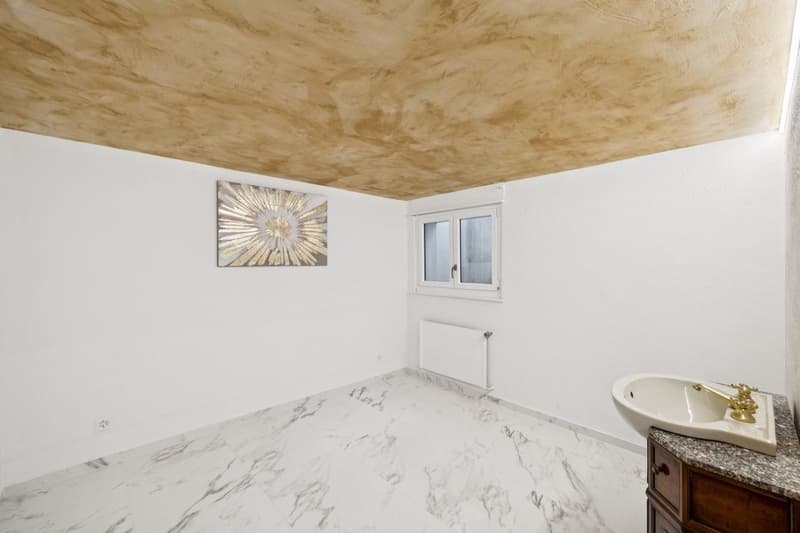Grande maison individuelle avec grand entresol aménagé (12)
