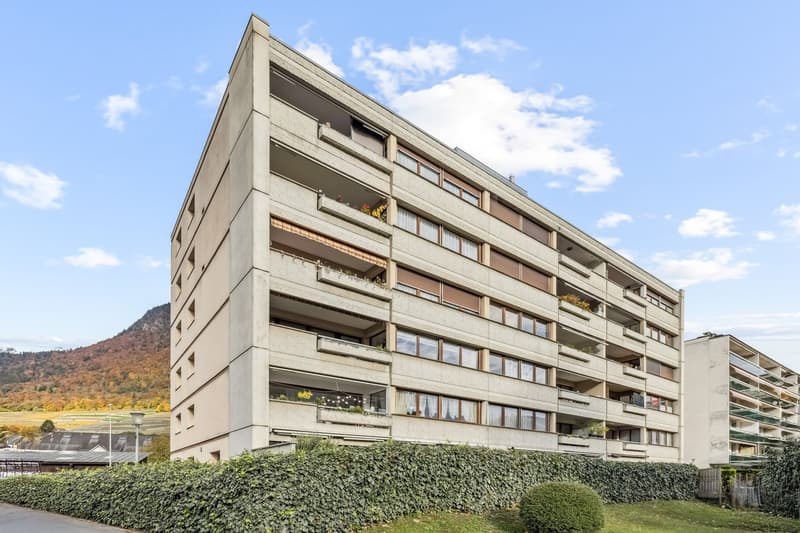 Spacious 4.5-room apartment on the ground floor (11)