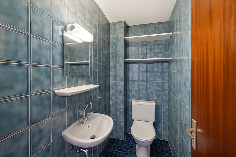Spacious 4.5-room apartment on the ground floor (6)