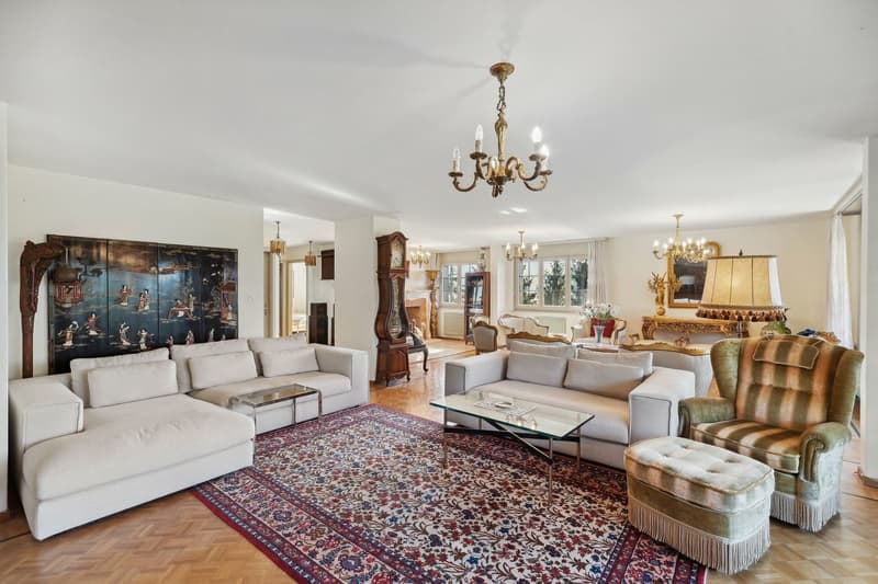 Spacious apartment close to the center and with a view of the lake (3)
