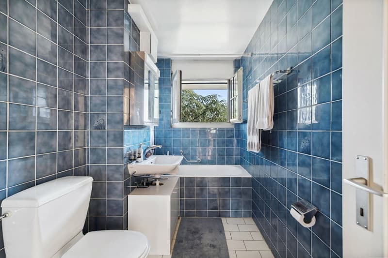 Spacious apartment close to the center and with a view of the lake (8)