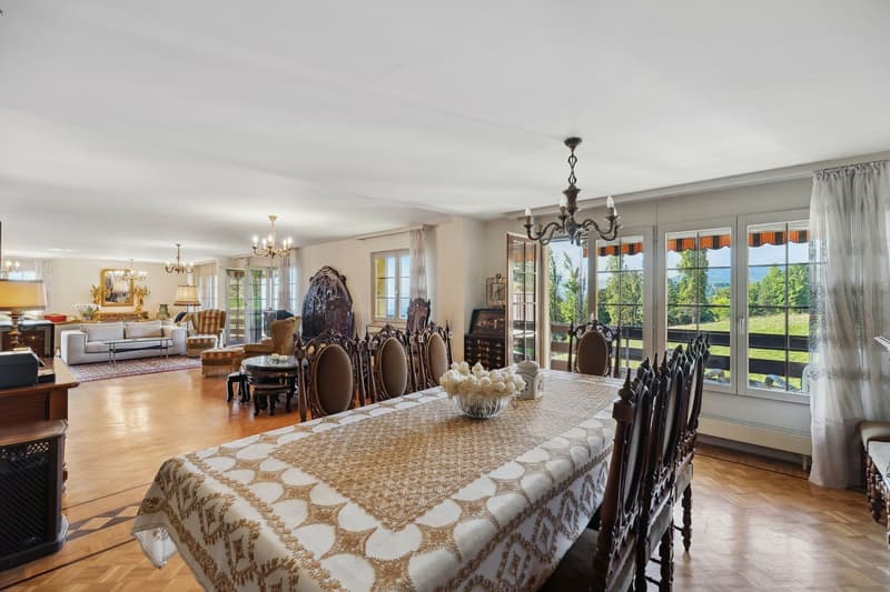 Spacious apartment close to the center and with a view of the lake (6)