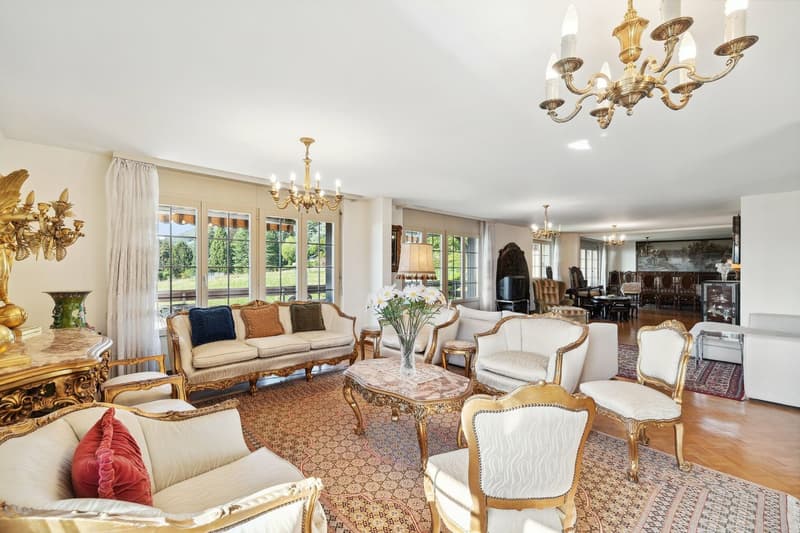 Spacious apartment close to the center and with a view of the lake (5)
