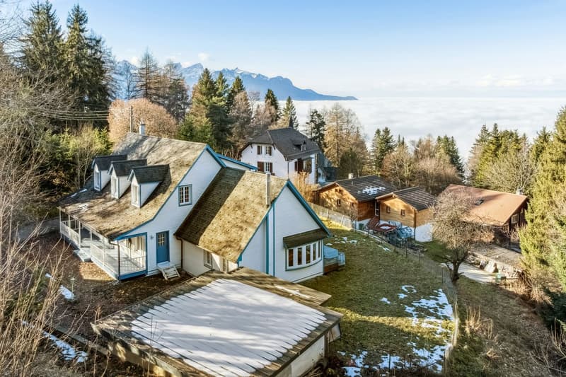 L'Écrin du Léman - Villa d'Exception à Caux (2)