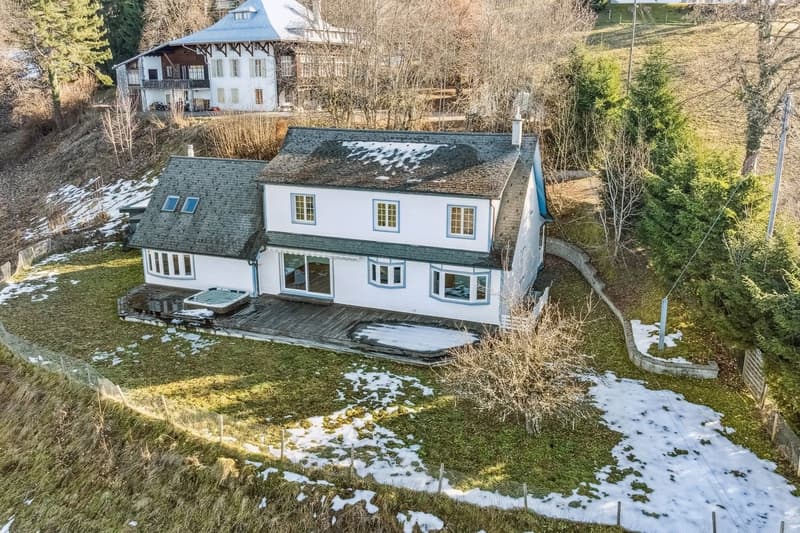 L'Écrin du Léman - Villa d'Exception à Caux (3)