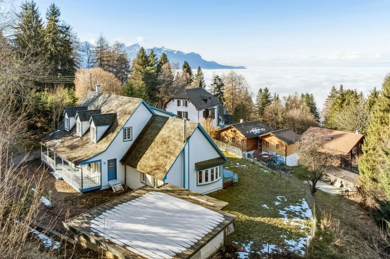 Die Juwelenschatulle des Genfersees - Eine Ausnahmevilla in Caux (2)