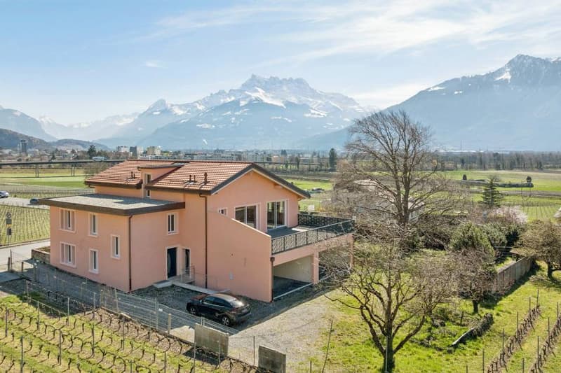 Beautiful individual villa partially renovated (1)