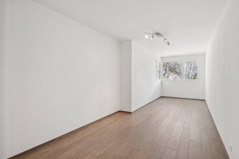Magnificent view and absolute calm for this 3.5 rooms (12)