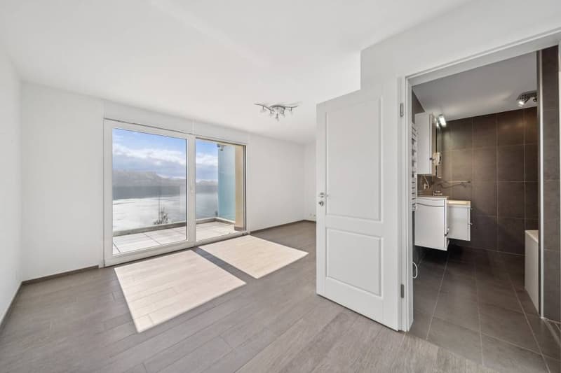 Magnificent view and absolute calm for this 3.5 rooms (11)