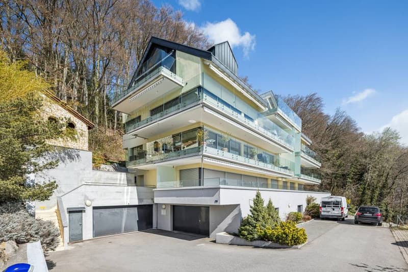 Magnificent view and absolute calm for this 3.5 rooms (2)
