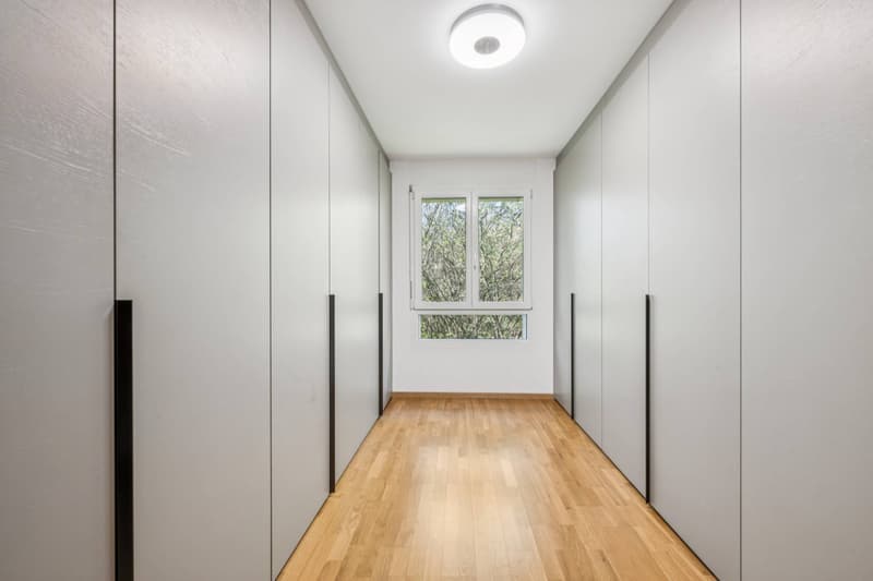 Contemporary attic duplex with a view of the lake (9)
