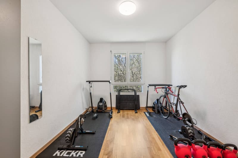 Contemporary attic duplex with a view of the lake (10)