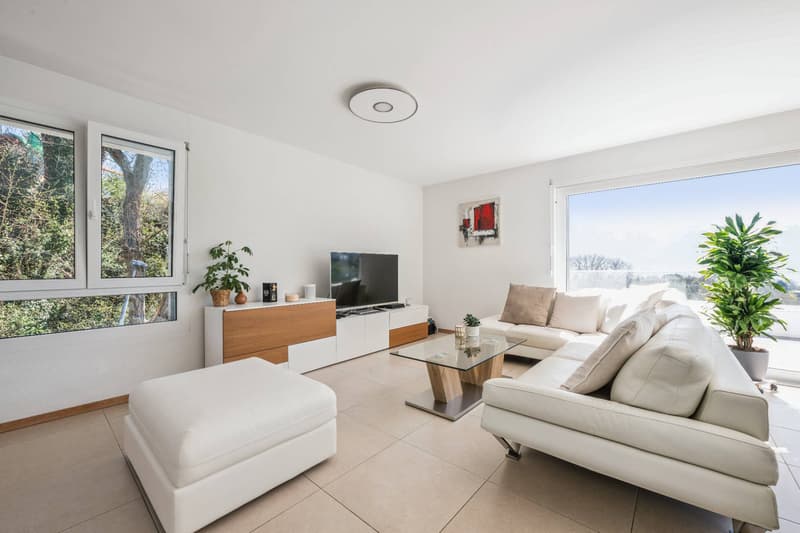 Contemporary attic duplex with a view of the lake (2)