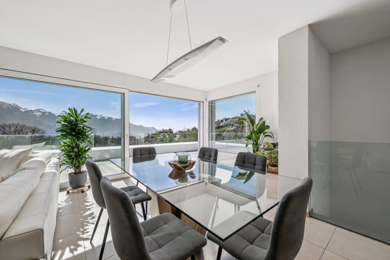 Contemporary attic duplex with a view of the lake (1)