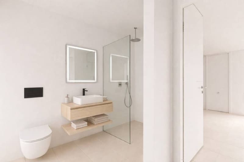Salle de douche + wc