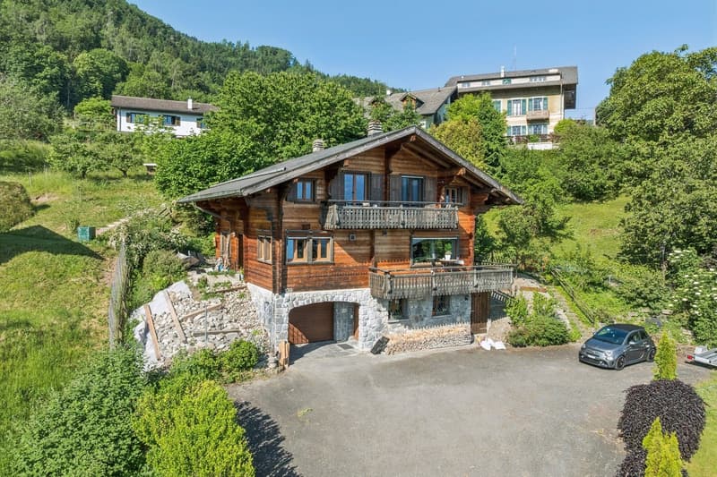 Magnifique chalet rénové avec une vue exceptionnelle (1)