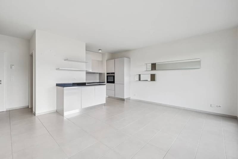 Appartamento di due camere con vista sul lago e posizione eccellente. (10)