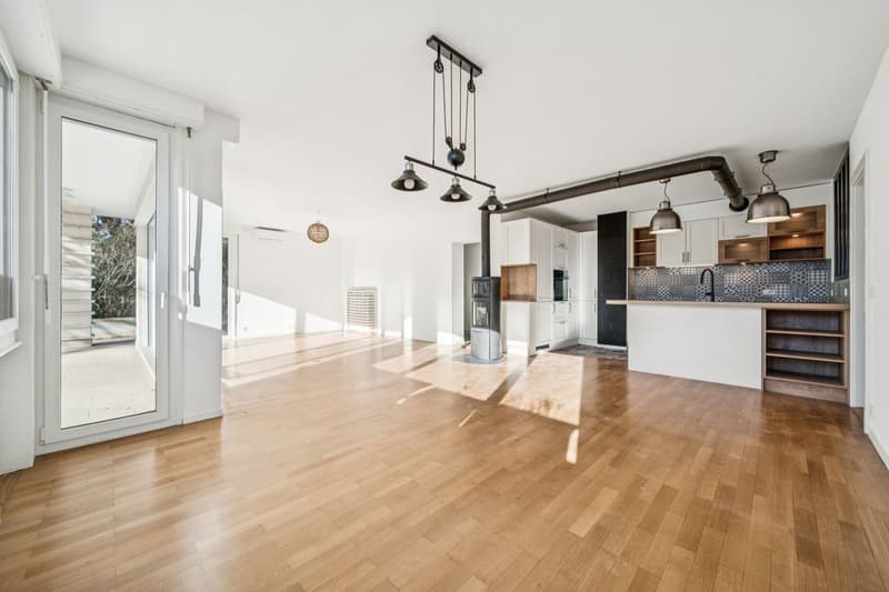 In a single-family home, 4 1/2 rooms with terrace and private garden (2)