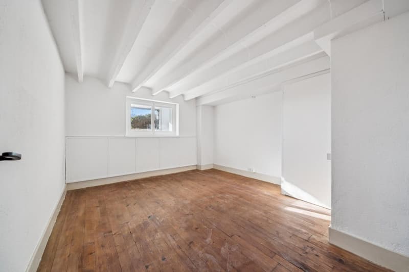 In a single-family home, 4 1/2 rooms with terrace and private garden (10)