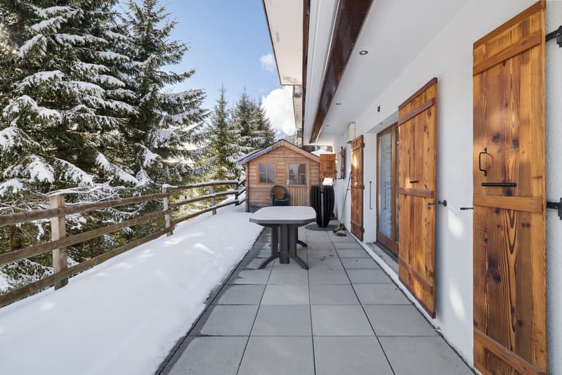 Alpine elegance and panorama in Morgins - Portes du Soleil (9)
