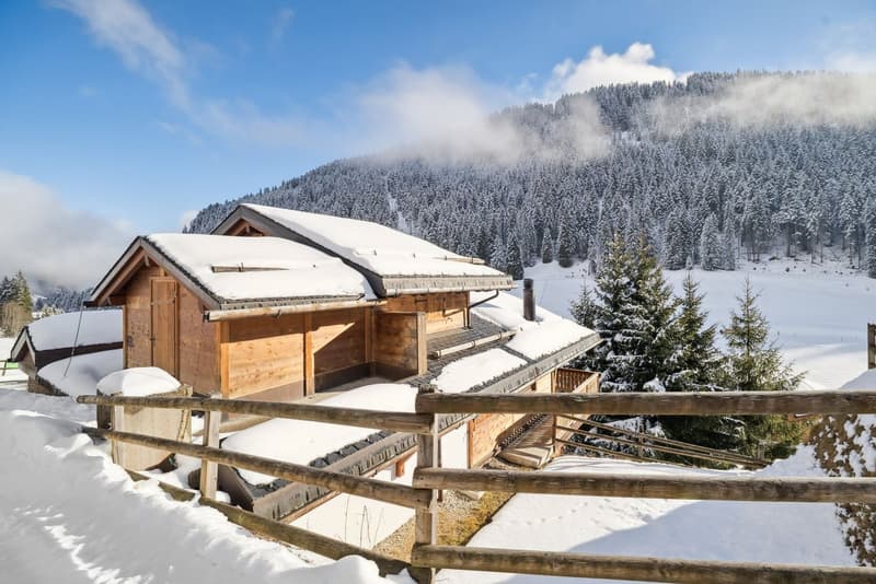 Alpine elegance and panorama in Morgins - Portes du Soleil (3)