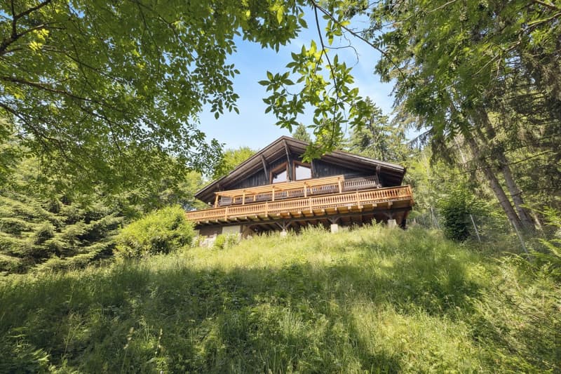 Prestigious rustic chic chalet in the heart of the Portes du Soleil (13)