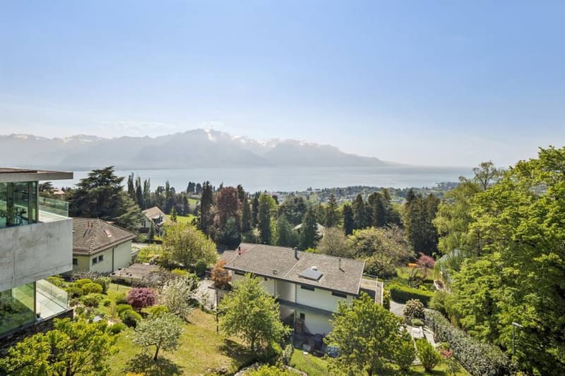 Panoramic View (3)