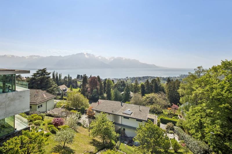 Panoramic View (3)