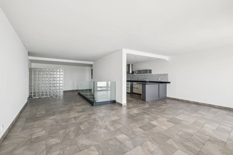Elegant duplex with panorama view of Lake Geneva (3)