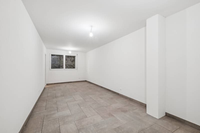 Elegant duplex with panorama view of Lake Geneva (7)