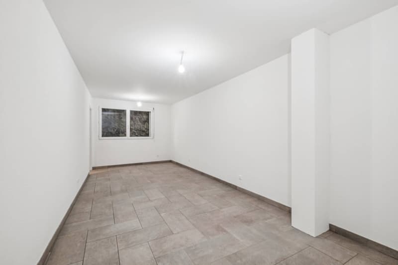 Elegantes Duplex mit Panoramablick auf den Genfersee (7)