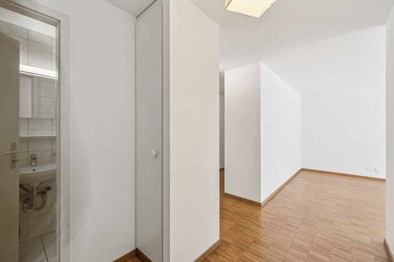 Appartement de 4,5 pièces dans un cadre verdoyant (7)