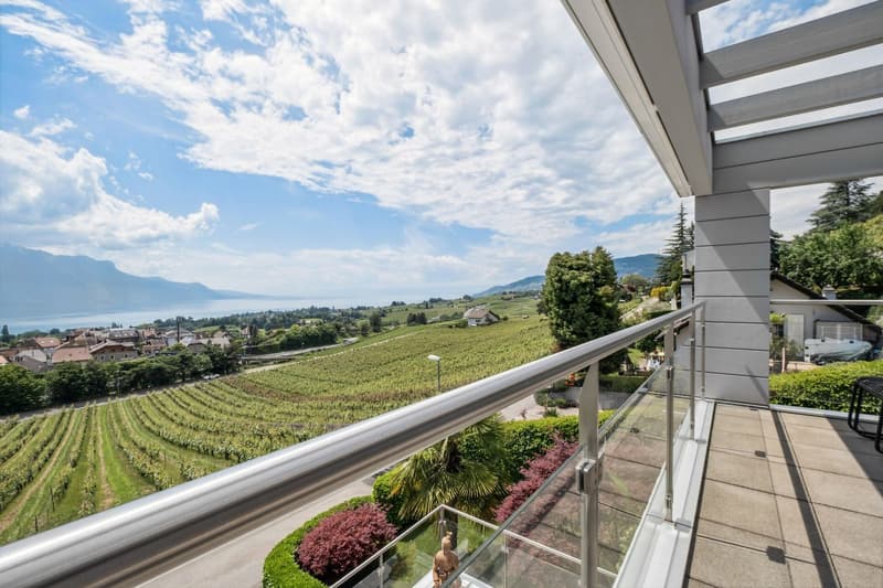 Beautiful villa with breathtaking view of the lake (1)
