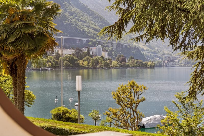 Selten zur Verkauf stehend, Apartment am berühmten Quai des Fleurs (3)