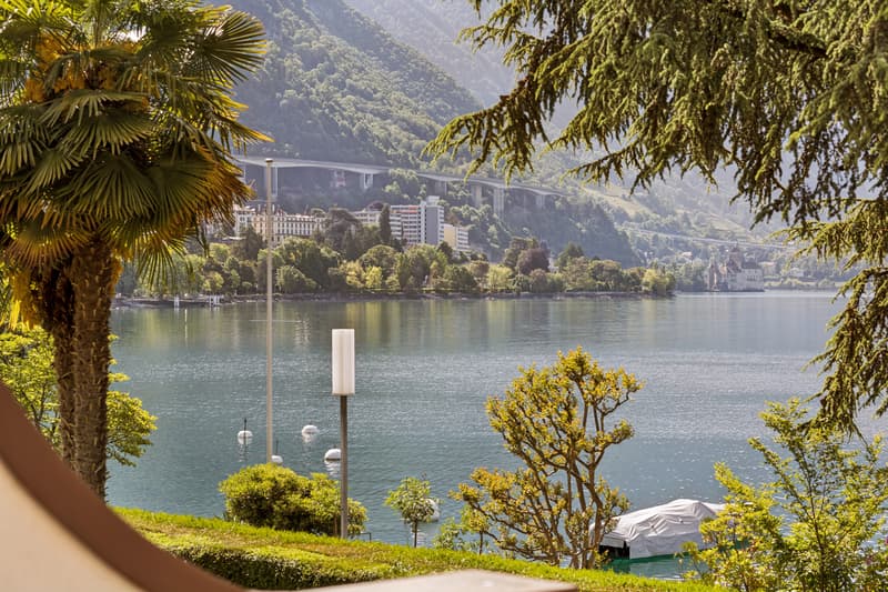 Rare for sale, apartment located on the famous Quai des Fleurs (3)