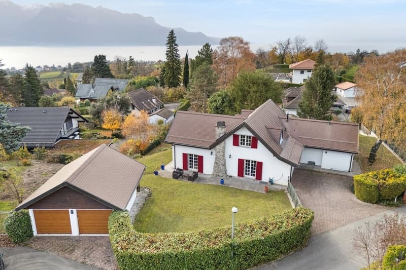 Luxurious individual villa in a sought-after neighborhood (2)