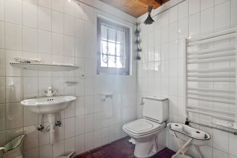 Magnificent chalet with character, beautiful sunlight, garden and mazot (11)
