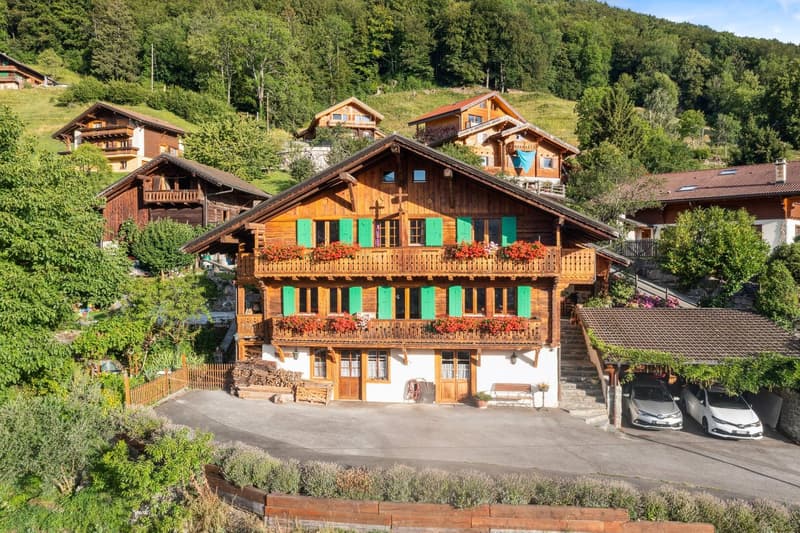 Magnificent chalet with character, beautiful sunlight, garden and mazot (1)