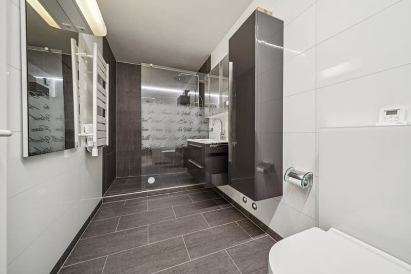 Prächtiges Doppelhaus-Apartment (12)