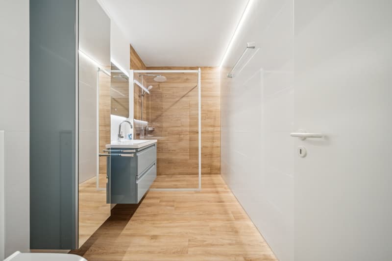 Magnificent duplex apartment villa (11)
