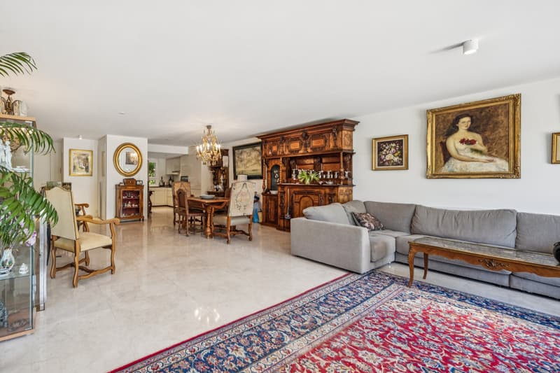 Magnificent duplex apartment villa (6)