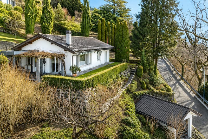 Single-story villa with a view of the lake and the castle (1)