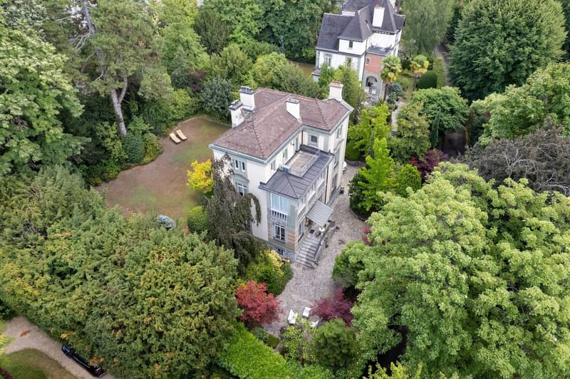 Prestigieuse propriété à quelques pas du bord du lac, parc verdoyant (3)