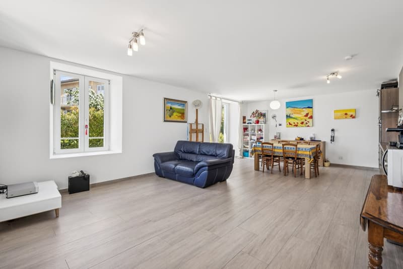 Spacieux appartement à deux pas du lac (5)