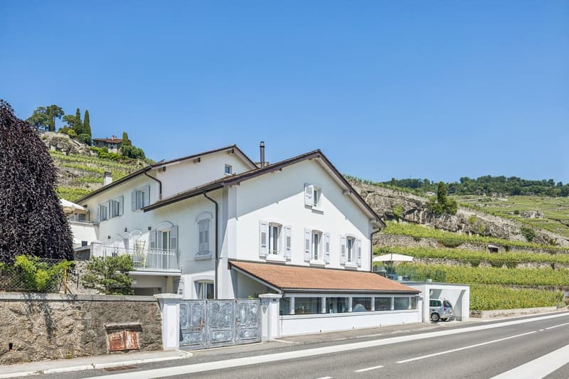 Spacieux appartement à deux pas du lac (3)