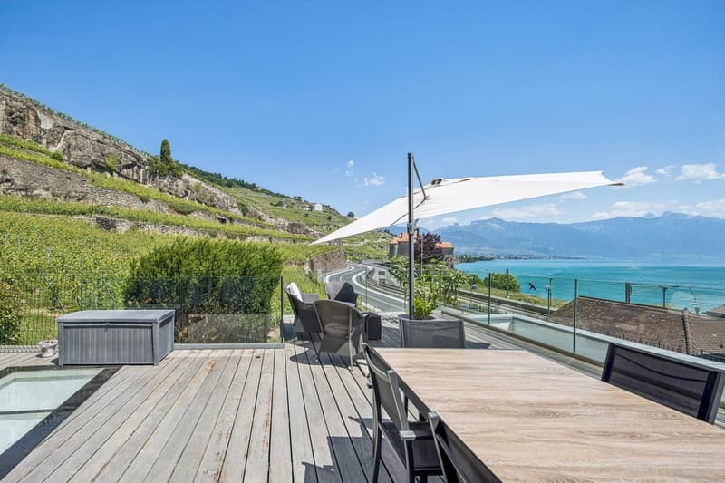 Spacieux appartement à deux pas du lac (8)