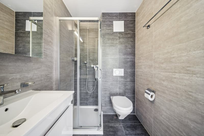 Spacieux appartement à deux pas du lac (11)