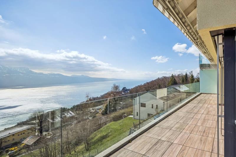 Magnifique vue et calme absolu pour ce 3.5 pièces (4)